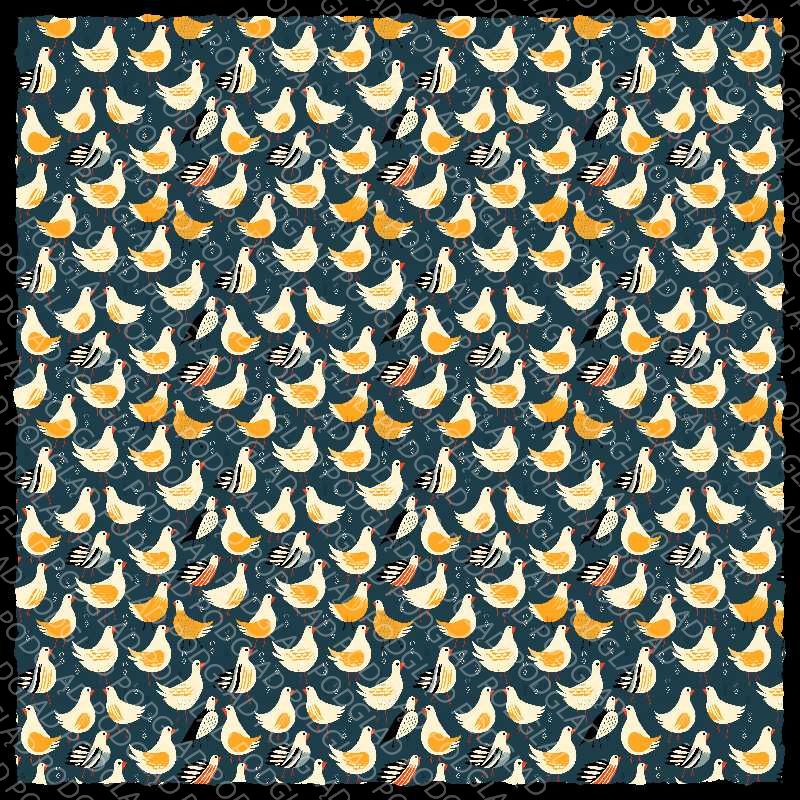 Chicken Bird